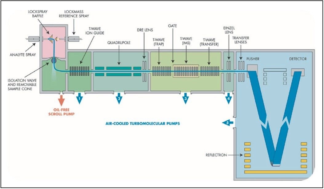 Schematic of the SYNAPT HDMS System’s Triwave design.