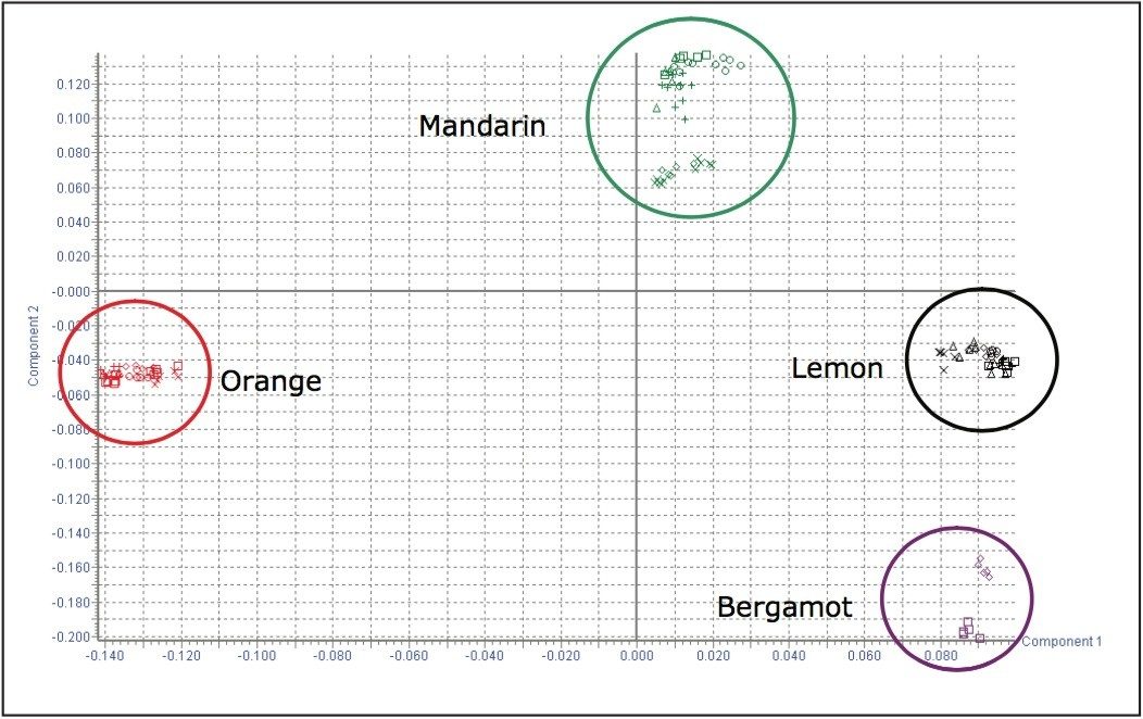  Scores plot obtained from MarkerLynx