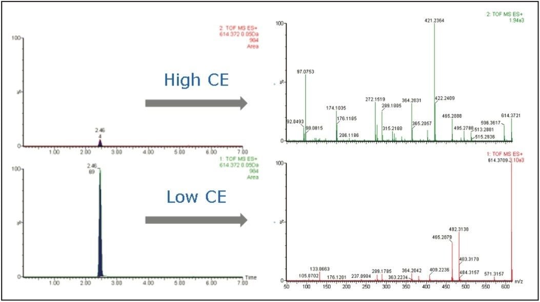 Extracted ion chromatograms and MS spectra