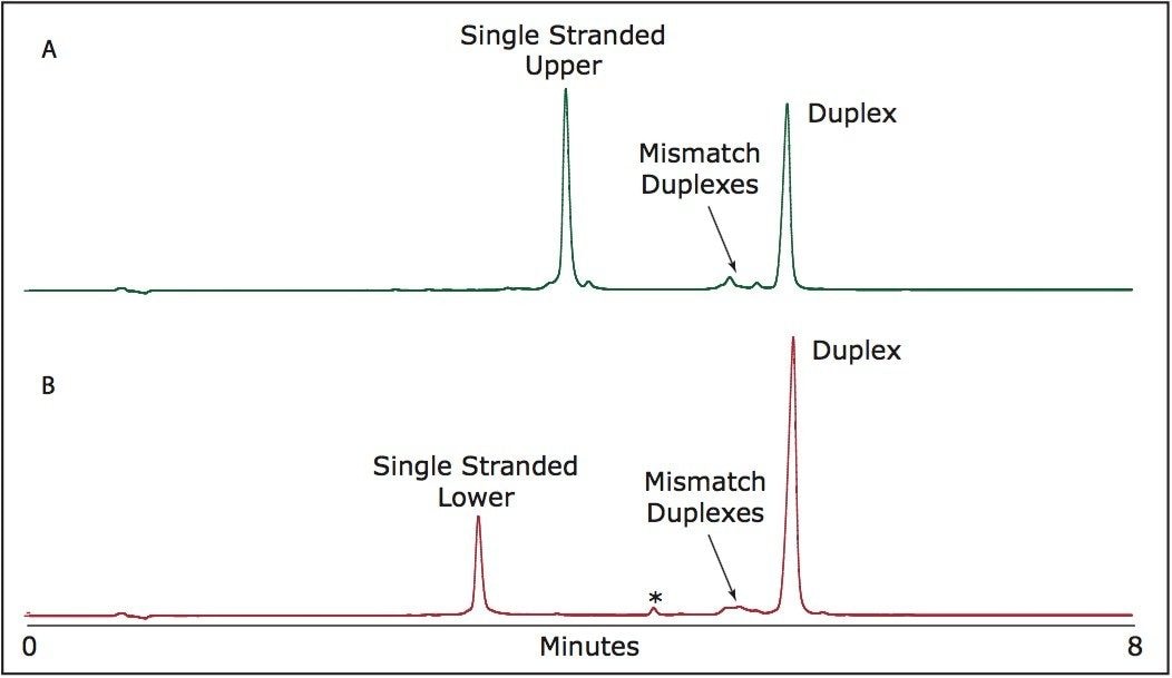  Separation of RNAi duplex
