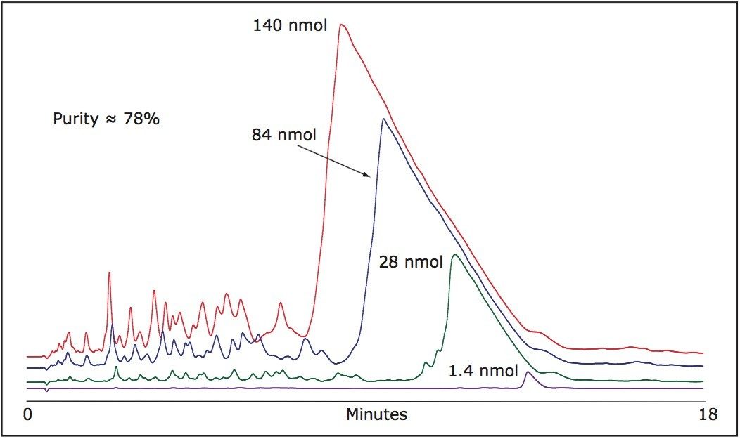 HPLC purification of a synthetic 21-mer oligonucleotide.
