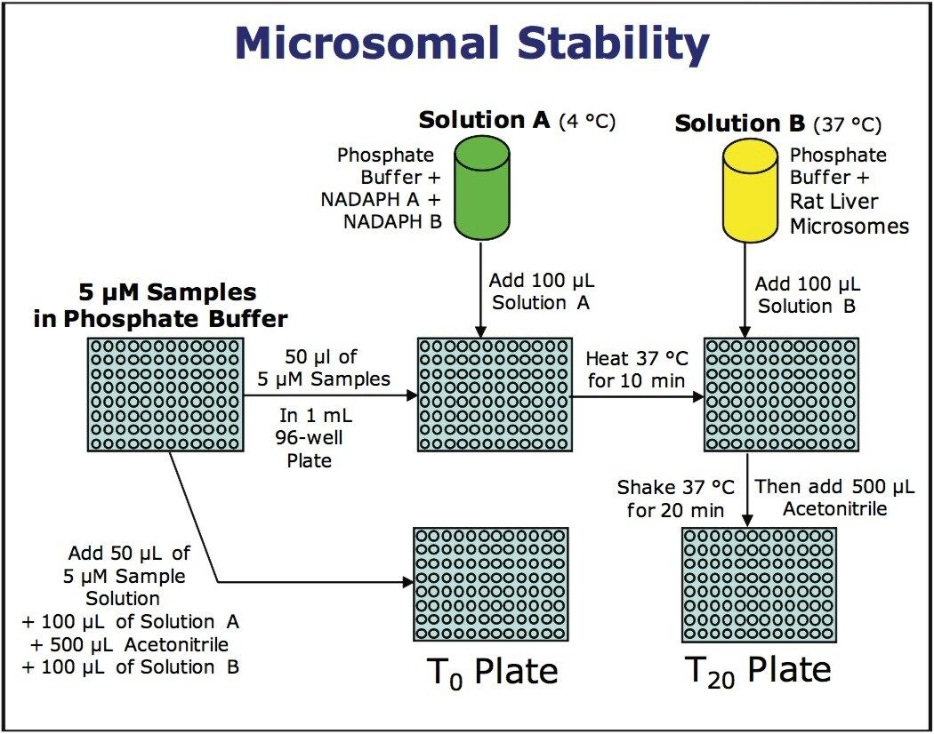 Flowchart of Metabolic Stability Assay procedure.