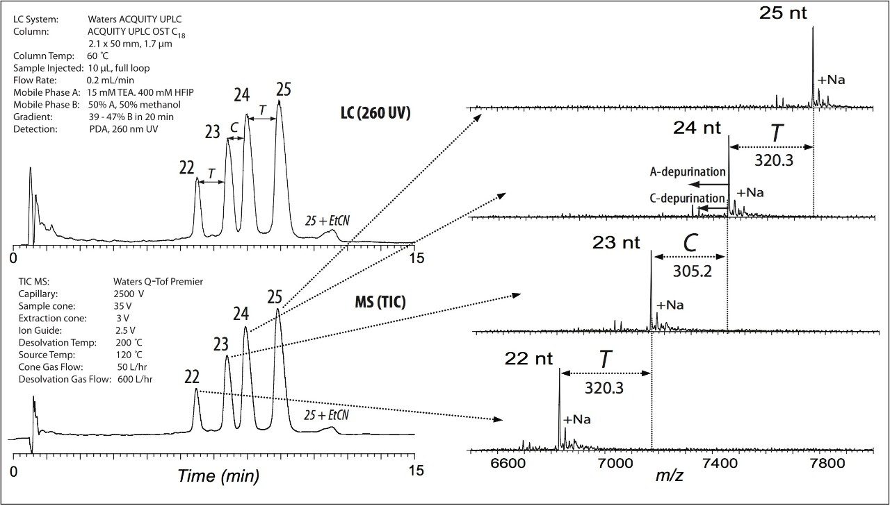 Left: UV and MS chromatograms Right: Corresponding MS spectra