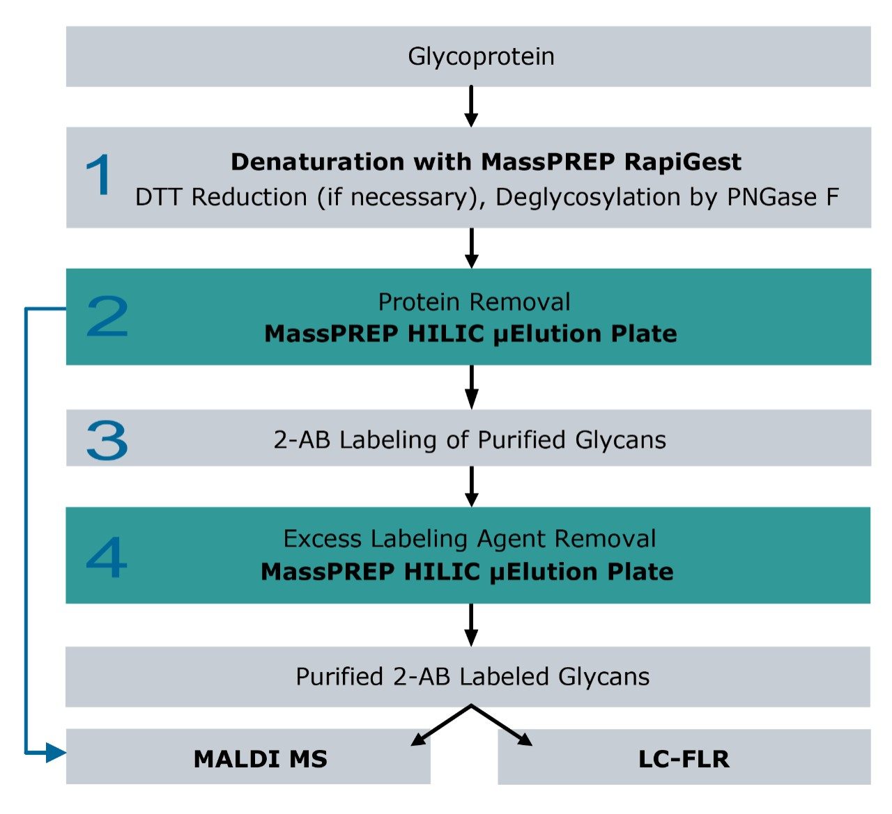 Sample preparation from glycoprotein to purified 2-AB labeled glycans.