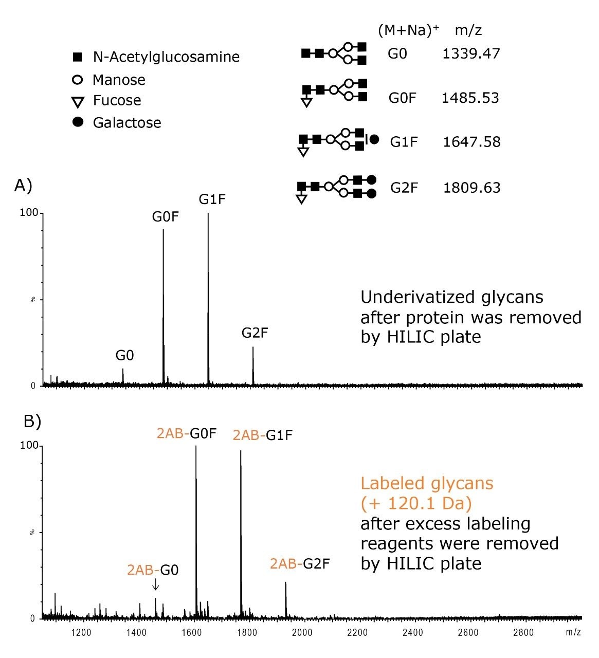 MALDI-TOF MS spectra of: (A) 8 pmol of the unlabeled IgG1 glycans after first HILIC cleanup prior to labeling. (B) 3 pmol of the 2-AB labeled IgG1 glycans after second HILIC cleanup. Each spectrum shows well purified glycans with no inferences from impurities