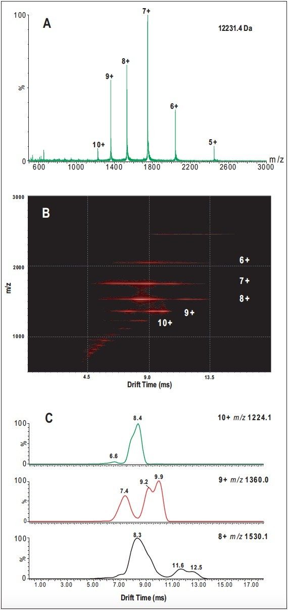 A. Summed ESI-TOF-MS mass spectrum of cytochrome c. B. DriftScope. C. Ion mobility drift time vs. intensity plots.