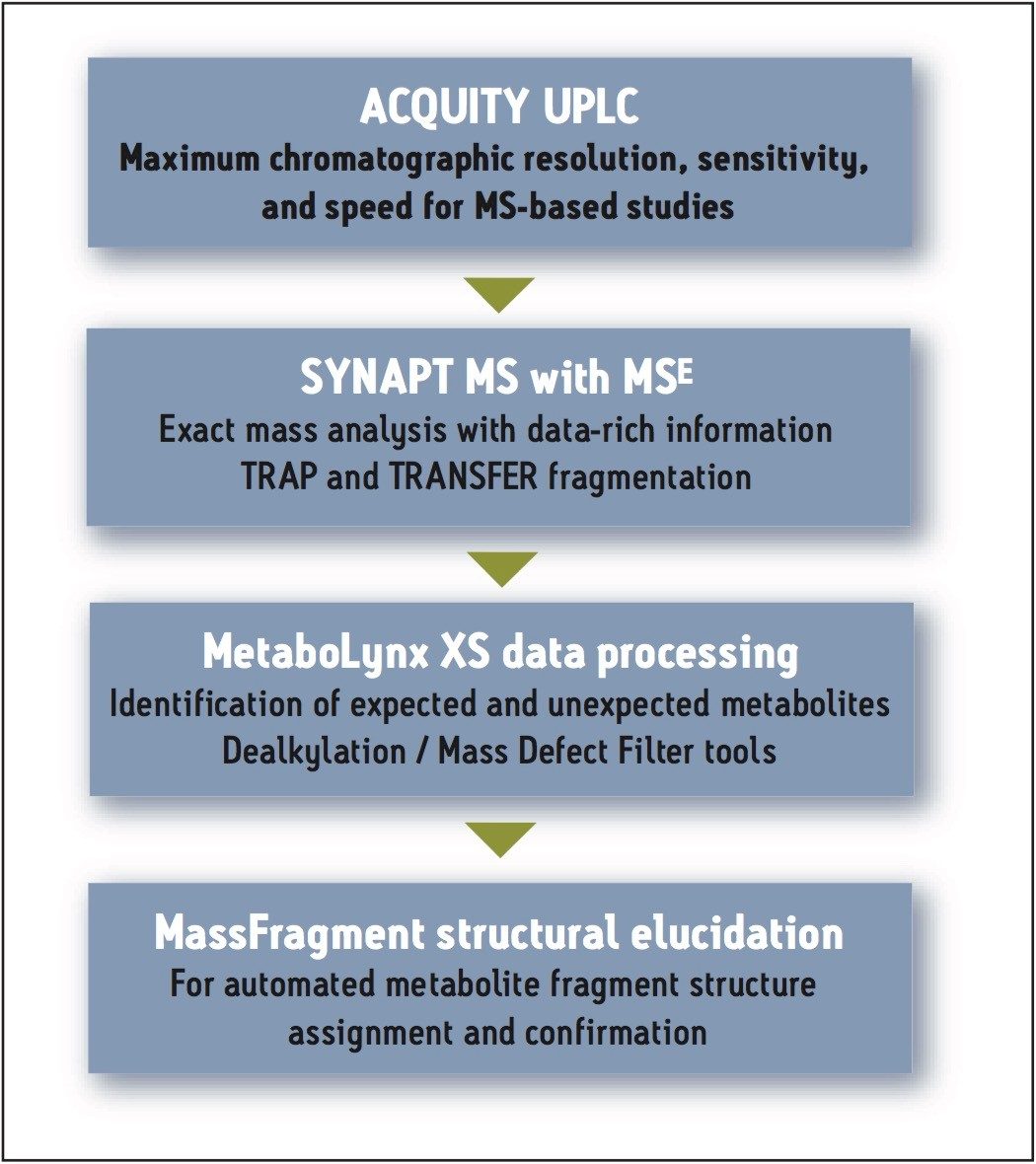 Workflow for metabolite identification.