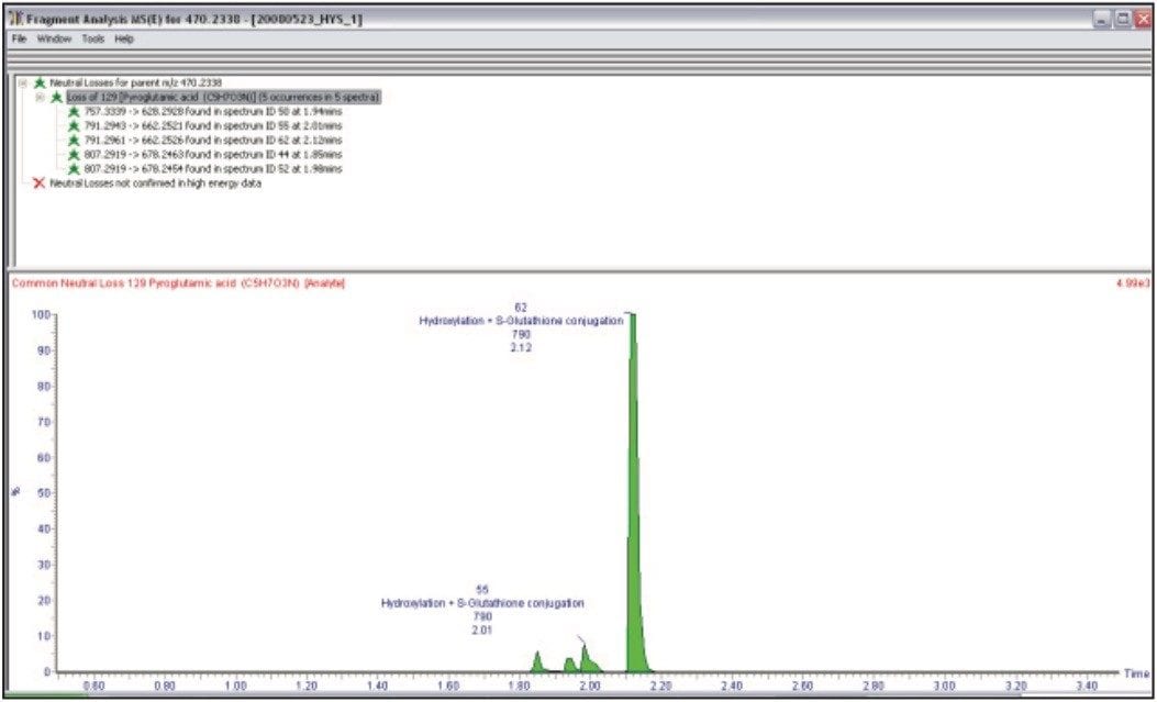 MetaboLynx Fragment Analysis report.