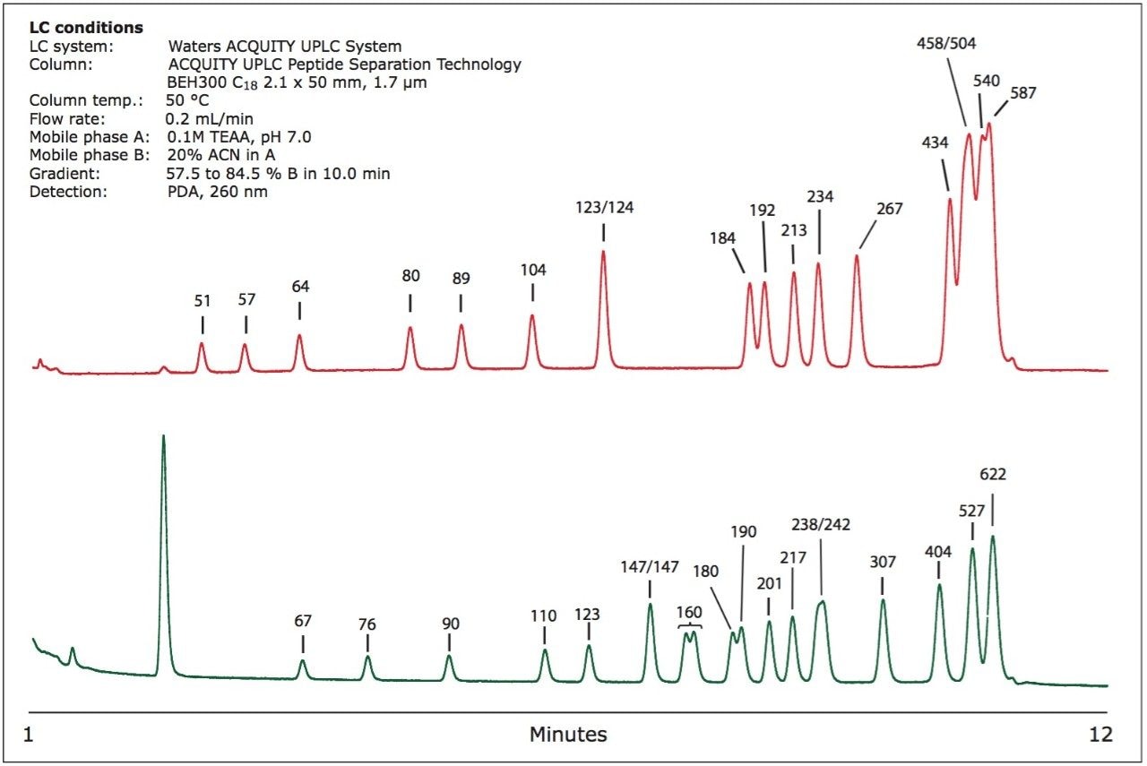 Separation of HaeIII and MspI digests
