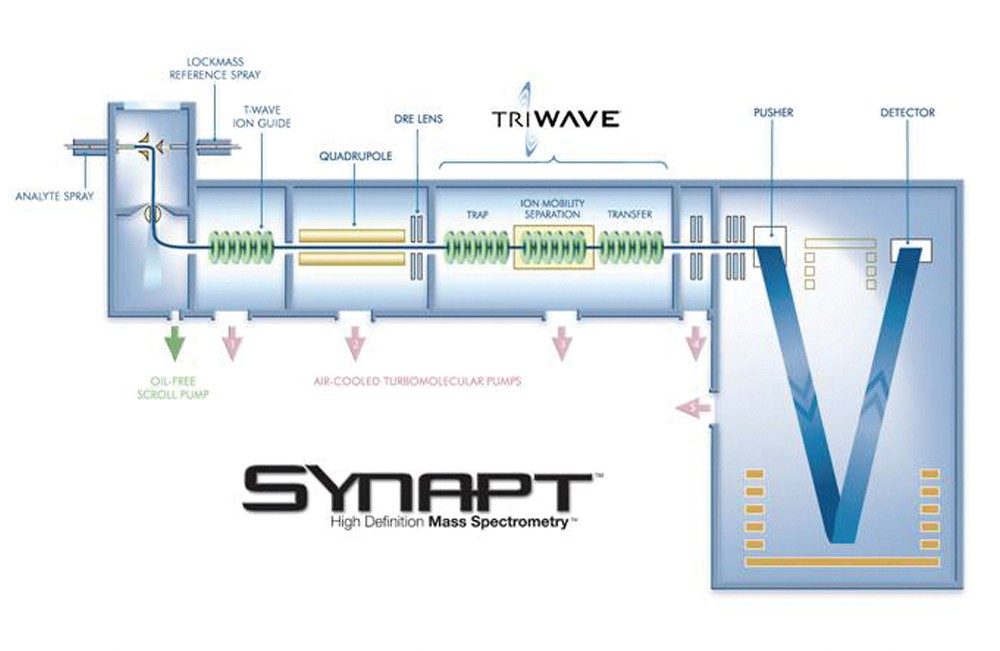 Schematic of the SYNAPT HDMS System
