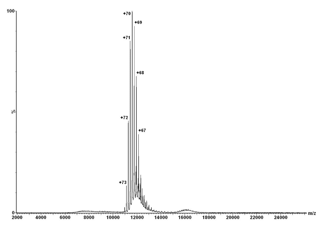 GroEL ToF-MS spectrum