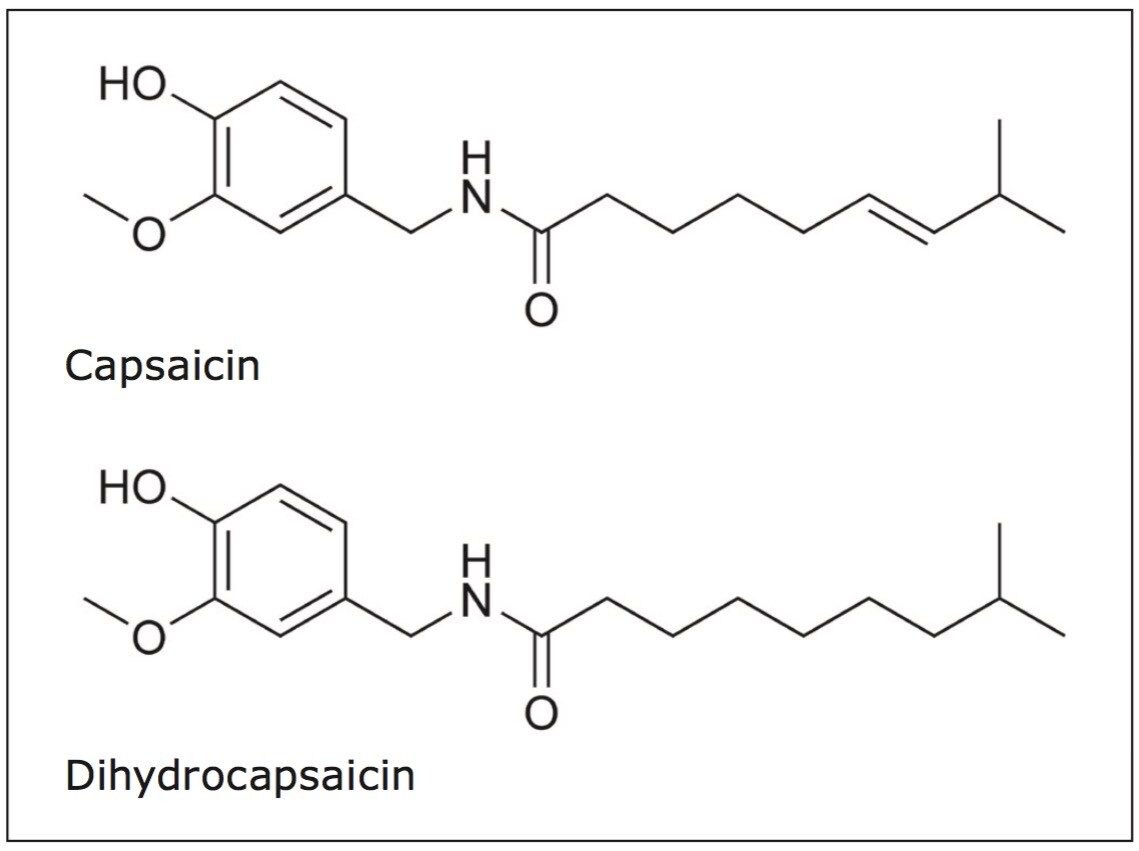 A Modular HPLC System for Routine Analysis of Capsaicin from Hot Sauces
