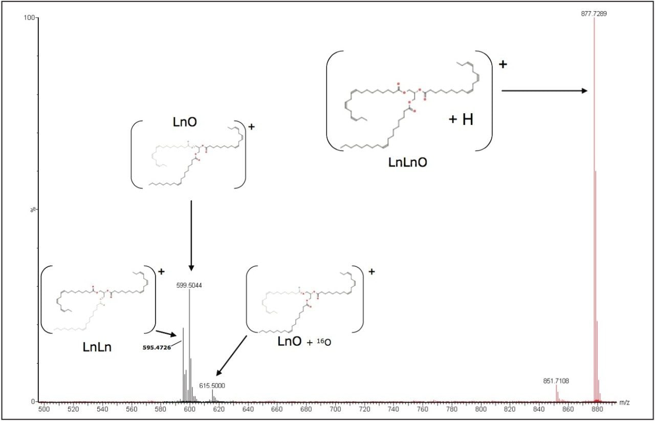 . MassFragment Software assigned high energy spectrum 