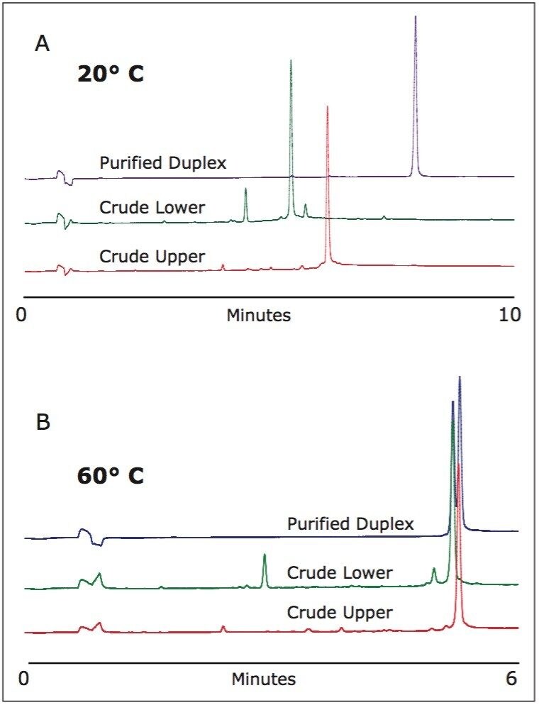 UPLC verification of RNAi duplex purity and composition.