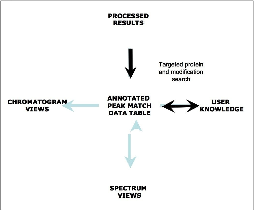 The overall BiopharmaLynx results workflow