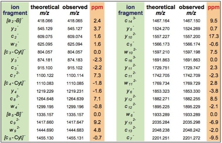 Mass accuracy of assigned ion fragments of the lower RNA strand