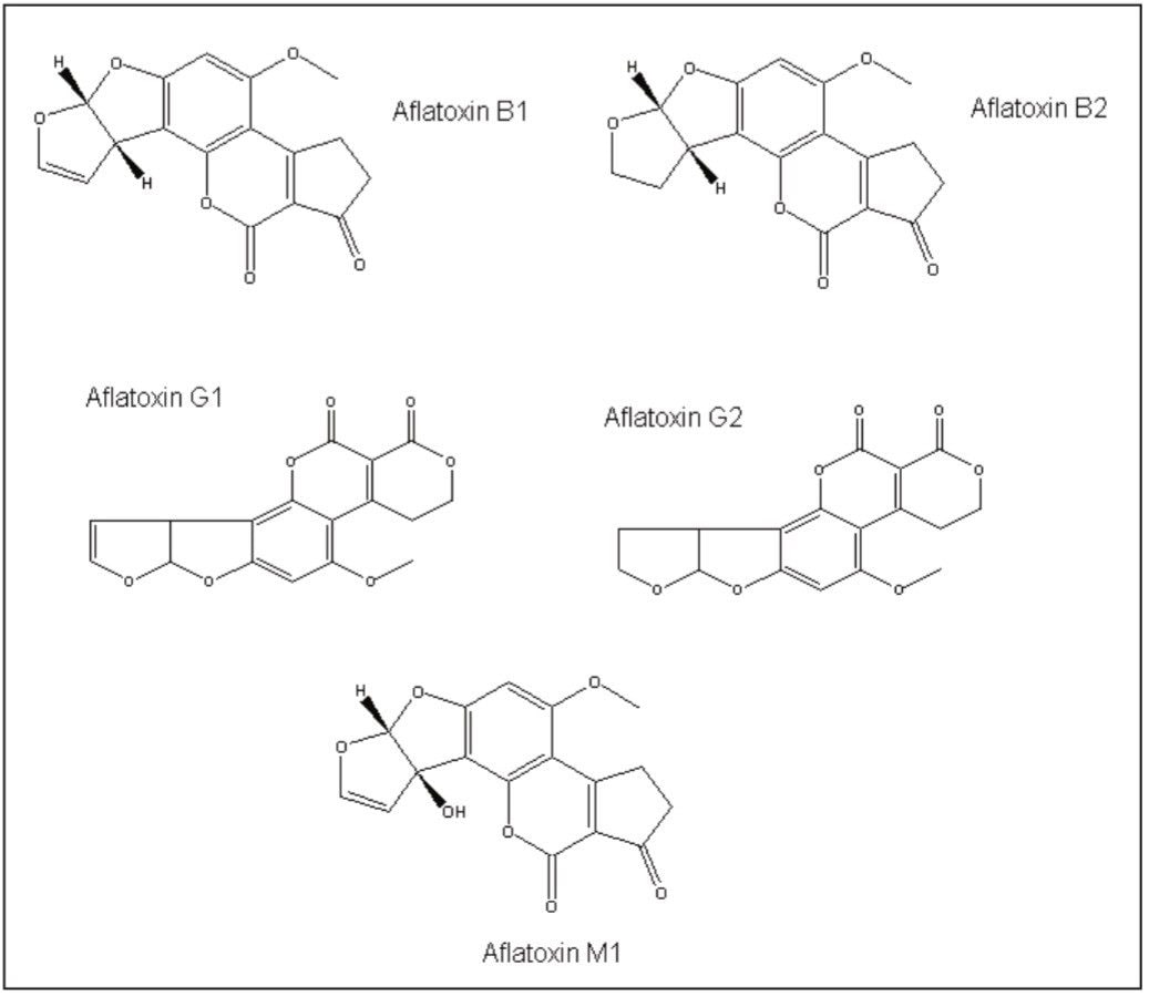 Aflatoxin molecular structures