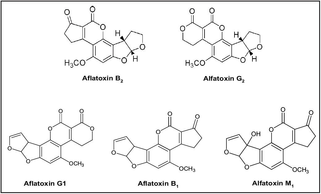 Aflatoxin structures