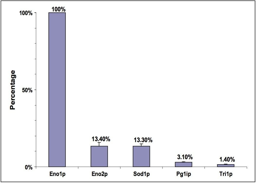 Normalized quantification of protein contaminants found in enolase sample