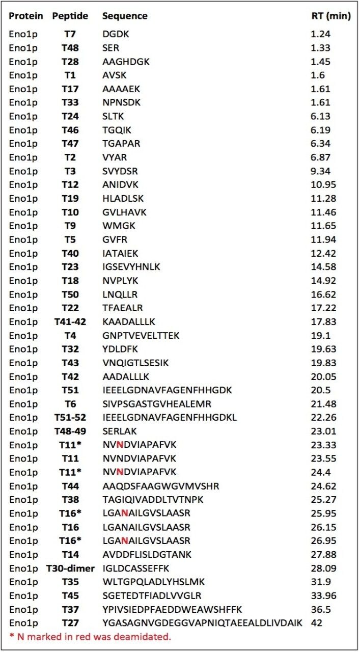 Fully tryptic peptides identified from enolase 1
