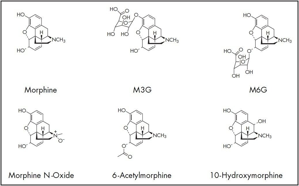 Structures of morphine and five metabolites