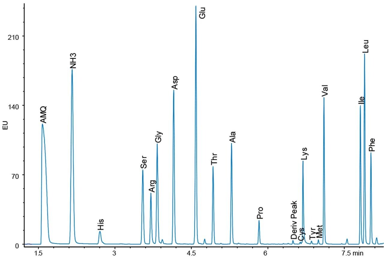 Analysis of soybean meal hydrolysate sample with fluorescence detec-tion, approximately 6 ng on column.
