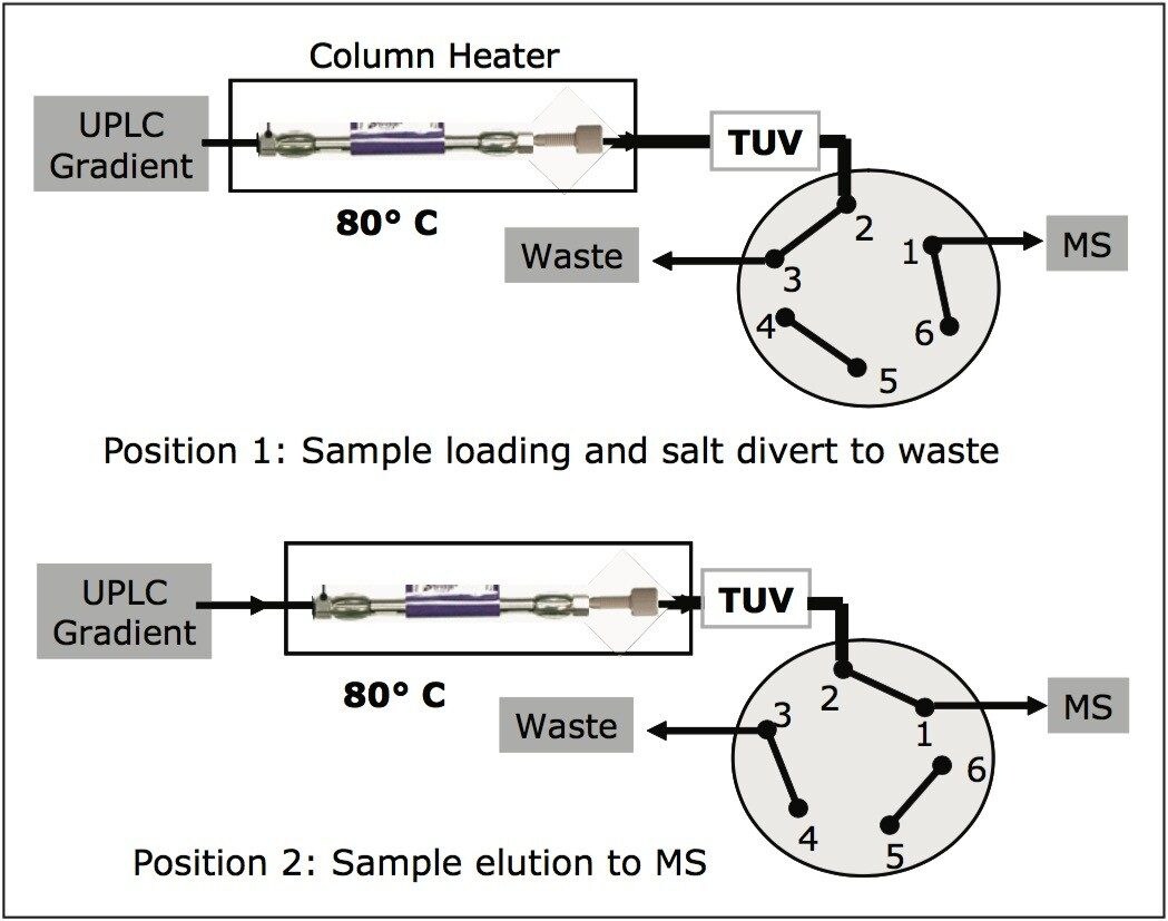 Fluidic configuration for UPLC-UV/MS analysis of reduced mAb