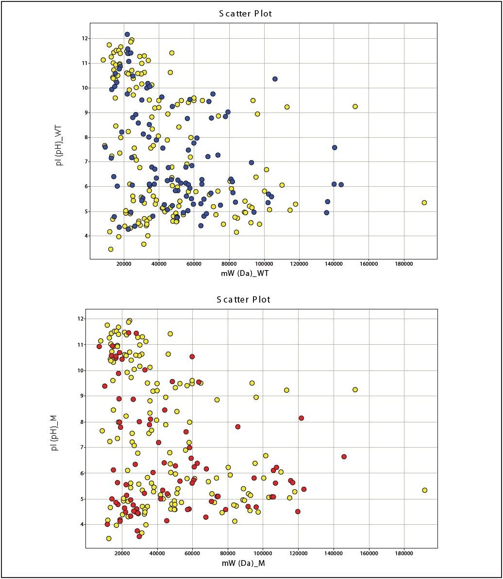 Qualitative proteomic profile of RI (top) and cripto-/- cells