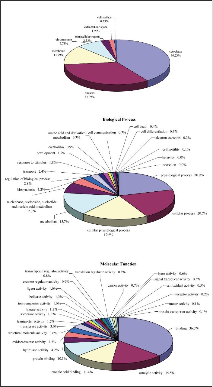 Cripto-/- cell line GO annotation. Cellular component (top), biological processes (middle), and molecular function (bottom)