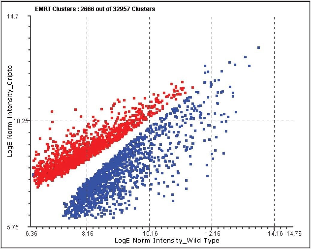 Log-log intensity distribution of significantly regulated peptides (red=up-regulated peptides in the cripto-/- cell line)