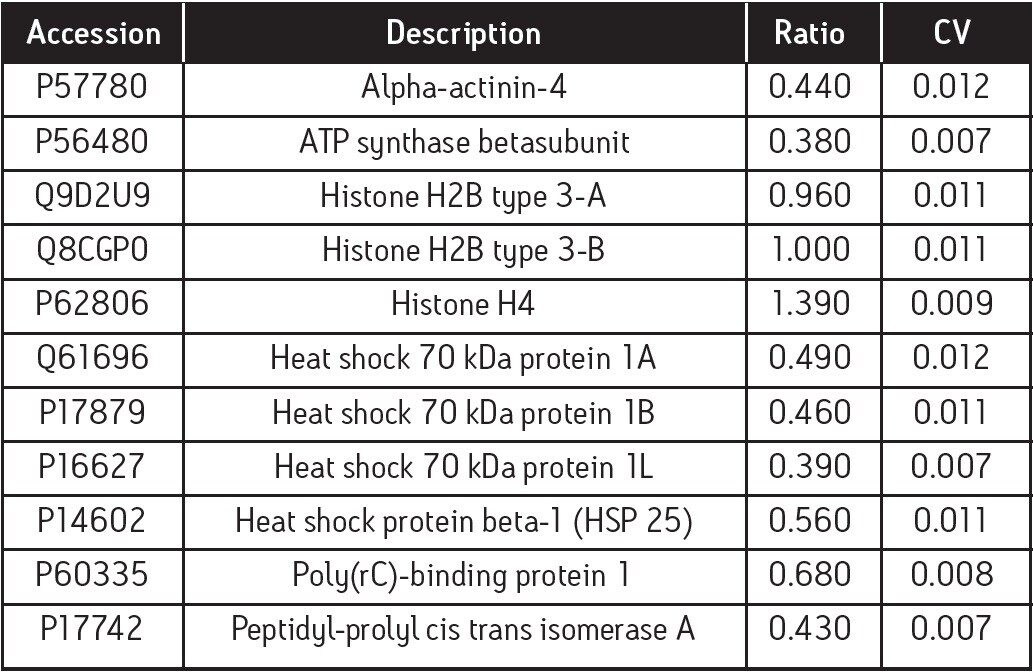 Significantly regulated protein in the cripto-/- line. *RI vs. Cr-/- ES elog ratio