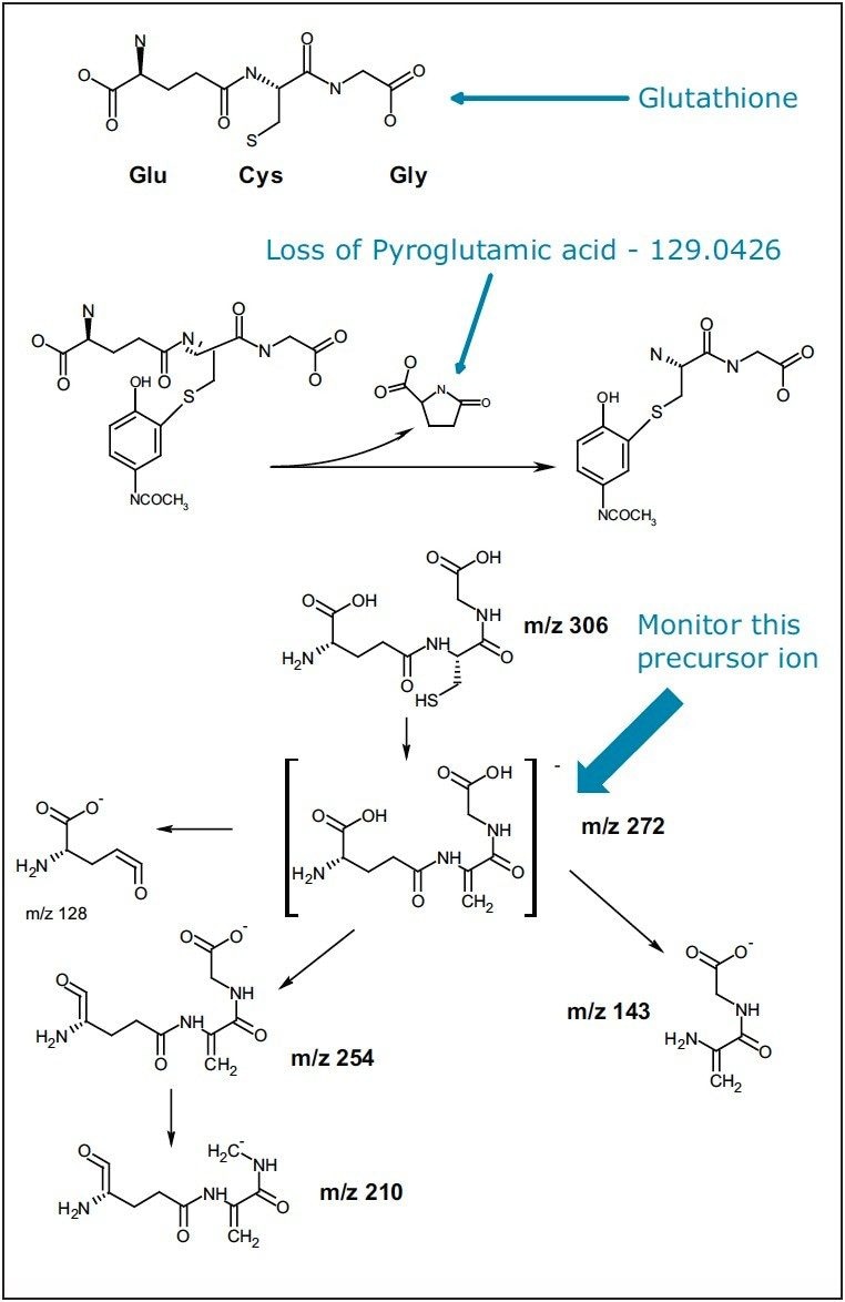 GSH structure and example of neutral loss of the pyroglutamic acid from the acetominophen GSH conjugation (top) and monitoring of precursor ion m/z=272