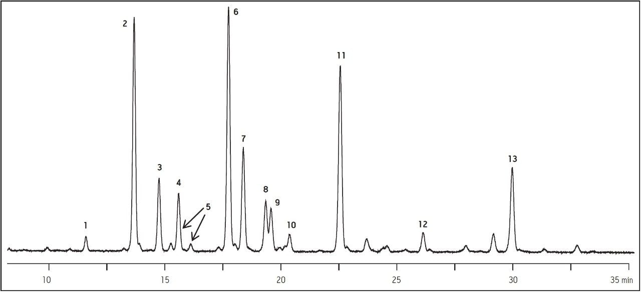 UPLC-FLR Chromatogram of 2-AB labeled human IgG glycans 