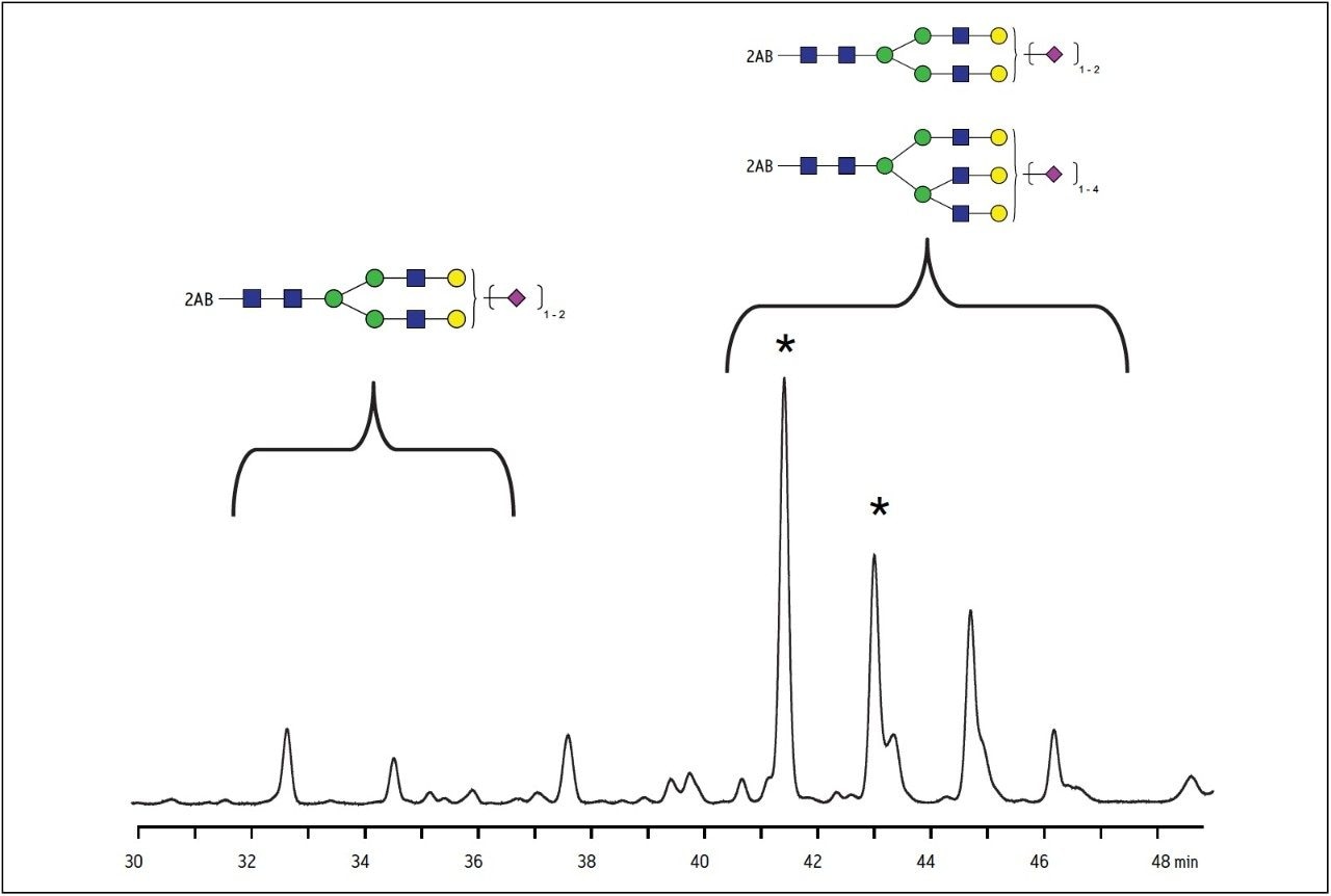 UPLC-FLR Chromatogram of 2-AB labeled bovine fetuin glycans