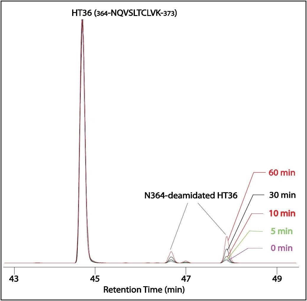 Extracted ion chromatograms