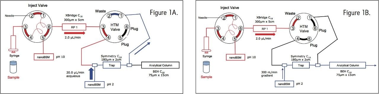 Fluidic layout for the 2D-nanoACQUITY UPLC System for high/low pH RP/RP analysis with online dilution 