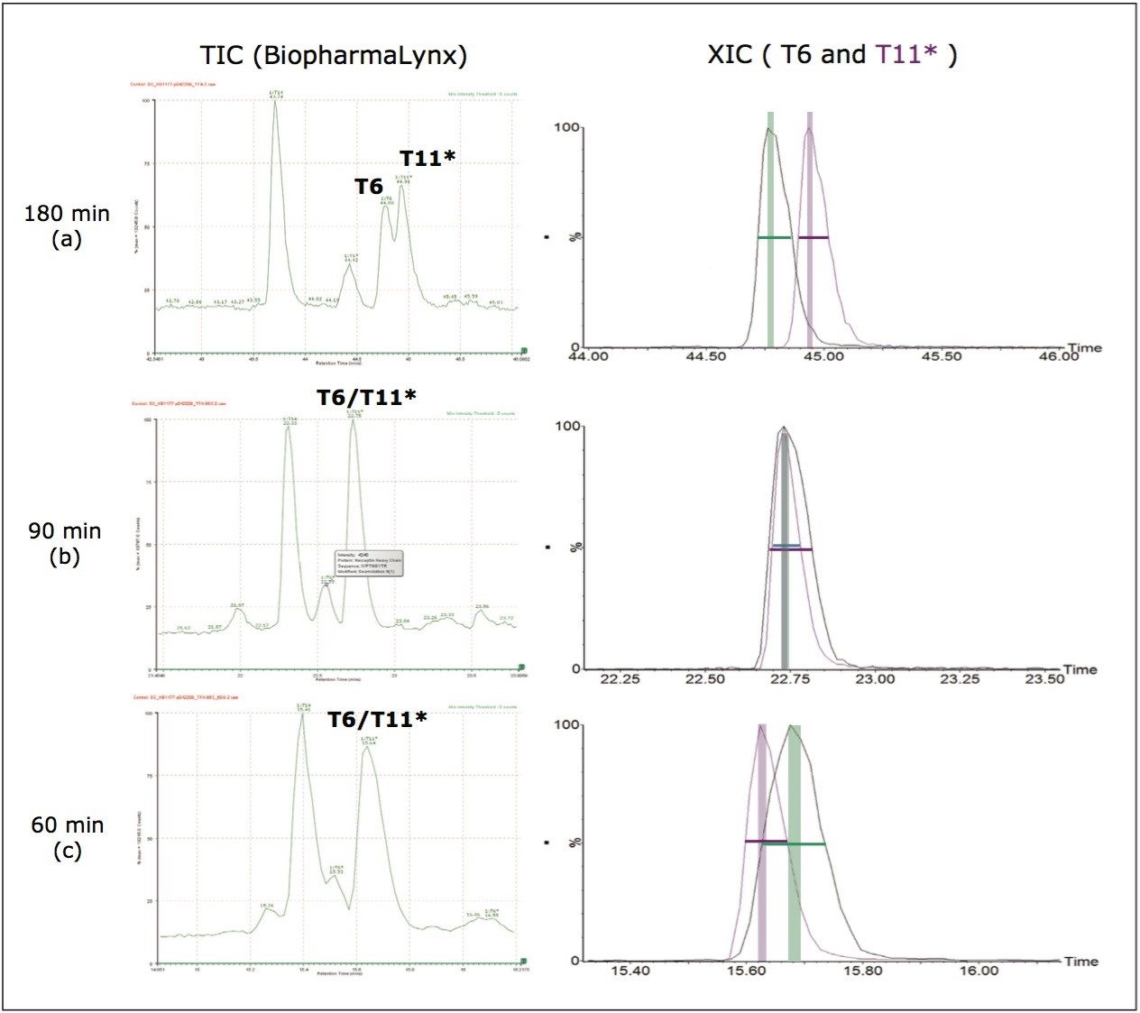 BiopharmaLynx Total Ion Chromatograms