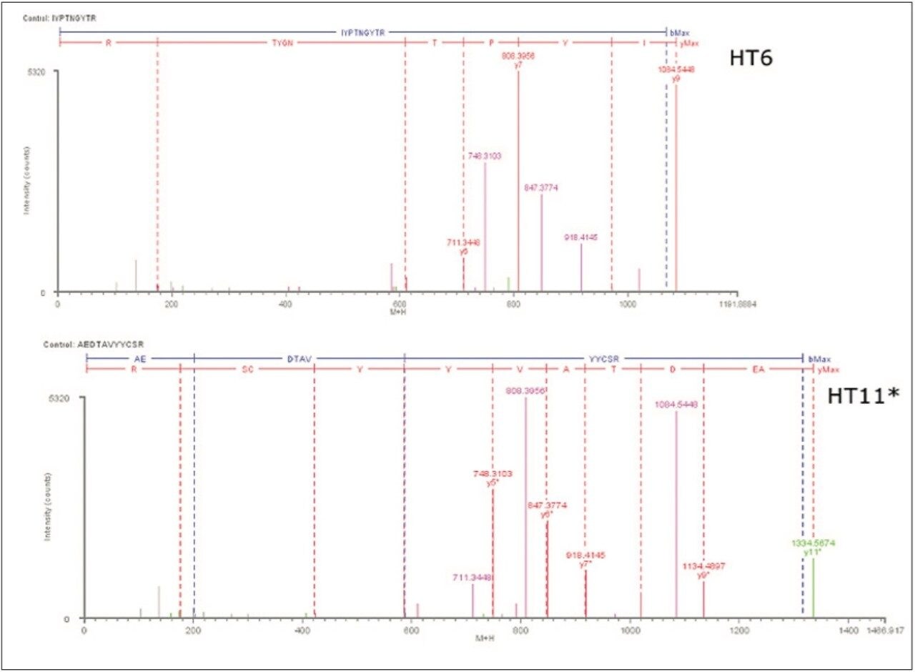  BiopharmaLynx 1.2 fragment ion display of peptide sequence