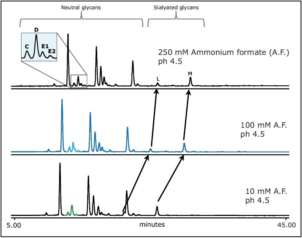 The impact of the buffer concentrations on the sialylated glycans.