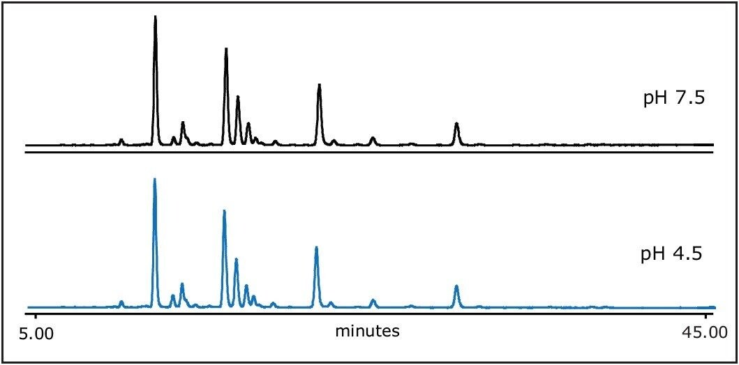 The gradient was run in gradient 72% to 62% B for 45 min at 0.4 mL/min.