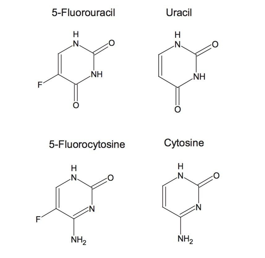 Structure of the compounds analysed