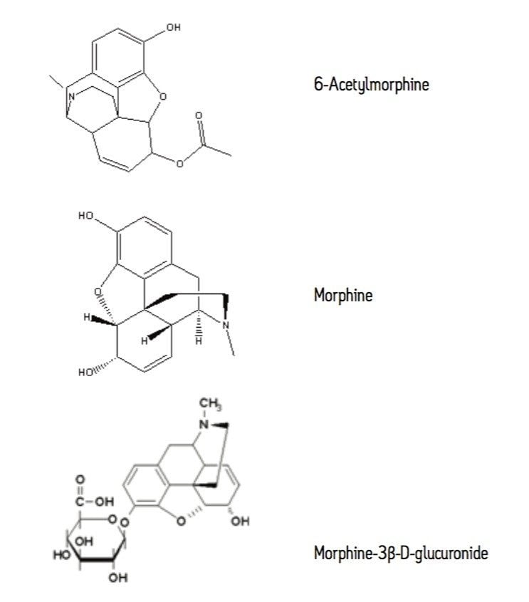 Structures of the compounds used in this study.
