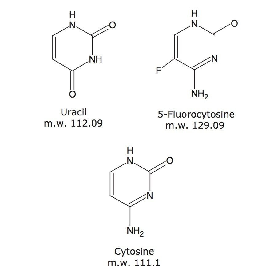 Structures of the compounds used in this study.