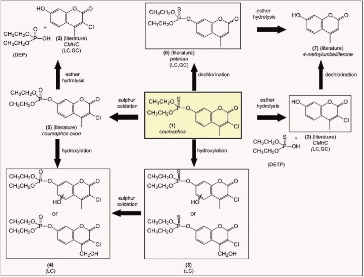Coumaphos metabolites identified in honeybees.