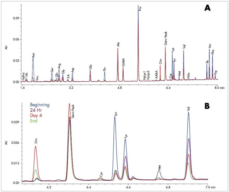 (A) Amino acid levels at various stages of a primary beer fermentation process. (B) Magnified region showing time dependent changes throughout the fermentation process.