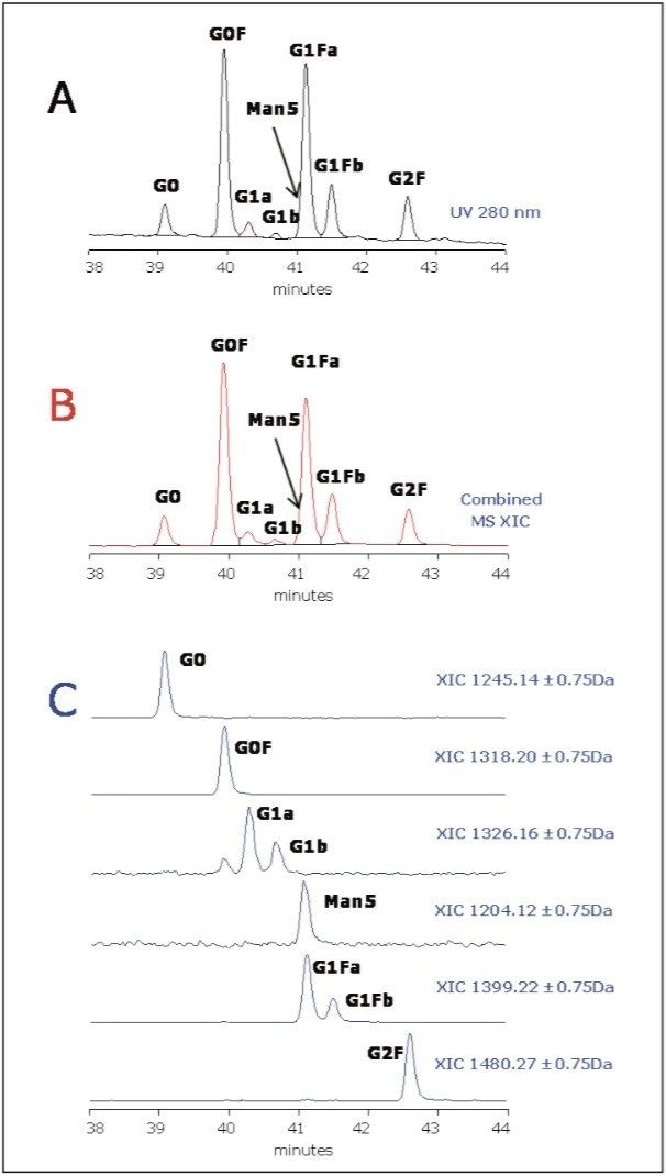 A) UV 280 nm chromatogram; B) combined XIC MS chromatograms for all glycopeptides; C) XIC traces for glycopeptides revealing positional isomers of G1 and G1F glycans.