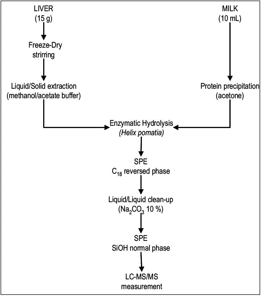 Overview of sample preparation 