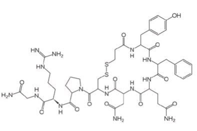 Chemical structure of desmopressin