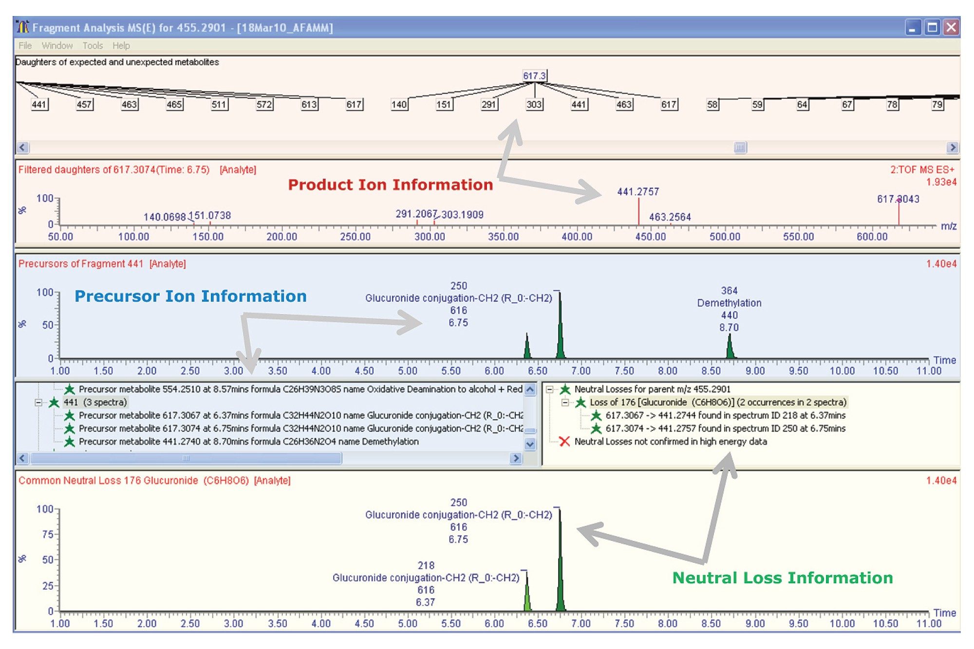 MS/MS information displayed in the Fragment Analysis Window