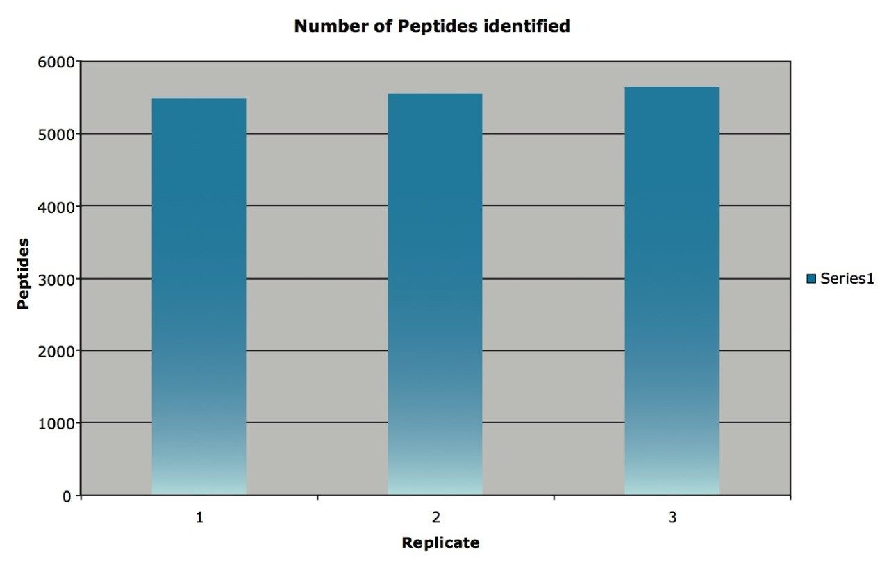 The number of peptides from yeast identified in each of three replicates.